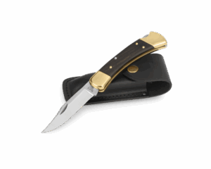 Buck 110 Folding Hunter®