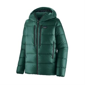 Patagonia Mens Fitz Roy Down Hoody, Cascade Green