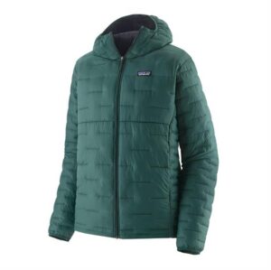 Patagonia Mens Micro Puff Hoody, Cascade Green