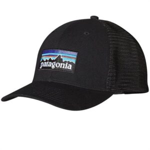 Patagonia P-6 Logo Trucker Hat