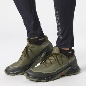 Salomon Alphacross 5 GTX Herre / Mænd, olive night/d.lichen-44 2/3 / UK 10 - Vandresko