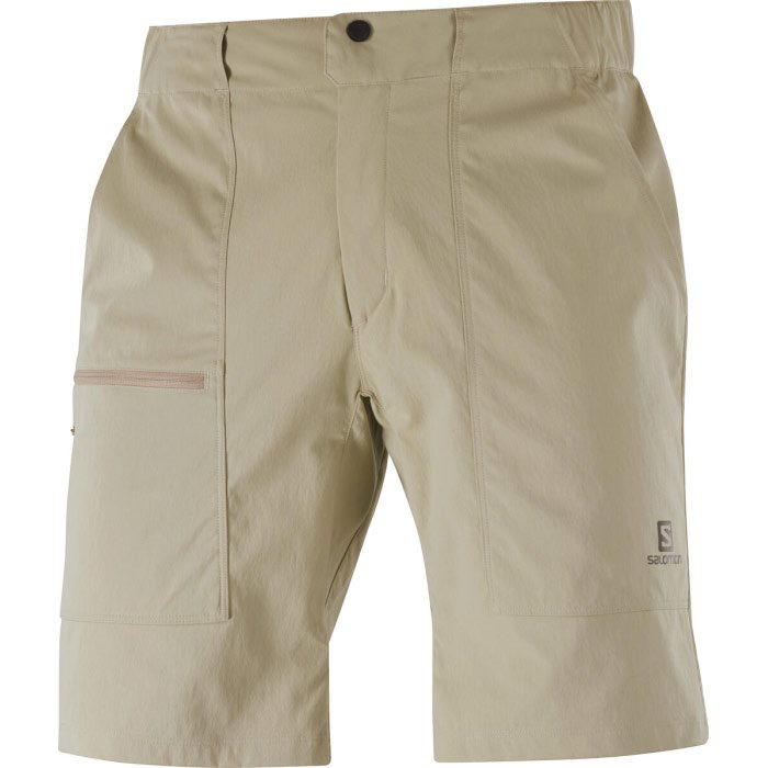 Salomon Outrack Shorts Men, roasted cashew-46